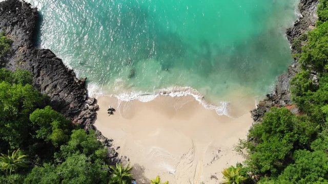 4K aerial drone fly over the paradise beach with blue lagoon of Atlantic Ocean, white sand and palm trees in Las Galeras, Samana, Dominican Republic