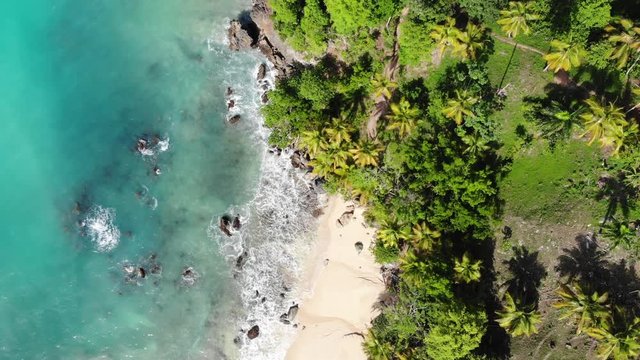 4K aerial drone fly over the paradise beach with blue lagoon of Atlantic Ocean, white sand and palm trees in Las Galeras, Samana, Dominican Republic