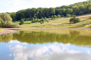 Forest at lake shore . water surface with nature reflection