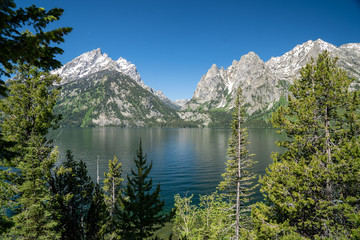 Beautiful sunny summer day view of Jenny Lake in Grand Teton National Park