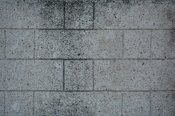 Fototapeta premium Concrete bricks rough surface background