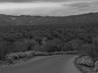 Black and white desert scene.