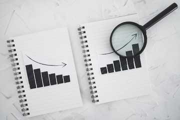 business analysis and statistics, positive and negative trends on graphs on notebooks side by side...