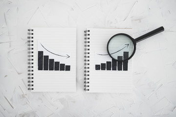 business analysis and statistics, positive and negative trends on graphs on notebooks side by side...