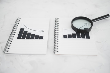 business analysis and statistics, positive and negative trends on graphs on notebooks side by side...