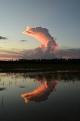 Summer clouds over Hole-in-the-Donut habitat restoration project in Everglades National Park, Florida at sunset.