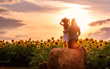 Rolgordijnen People are having fun in sunflower field under sunset © Yan