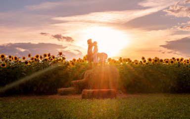 People are having fun in sunflower field under sunset