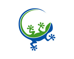 Colorful gecko's hues form a circle