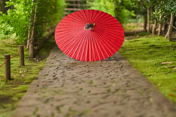 日本庭園に唐傘２