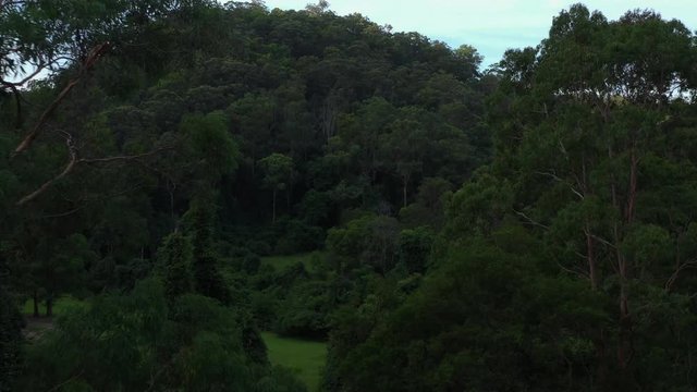 Aerial flying low though an epic scene of rural Sydney Australia, Houses and green tree dense hilly forest on a clear day.