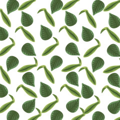 leafs plants nature pattern background detailed style