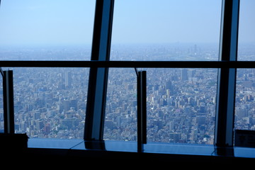 スカイツリーからの景色