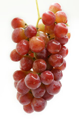 Fresh red grape isolated on white background