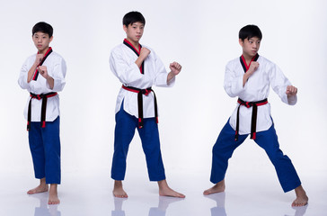TaeKwonDo Karate national athlete kick punch on white background isolated