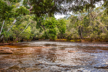 Fast rapid red tinted waters of the Amazon River running through the lush green jungle & rainforest of Presidente Figueiredo located in the Amazonas, Brazil, South America
