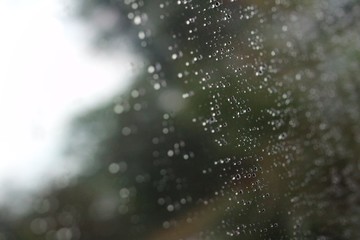 raindrops on window