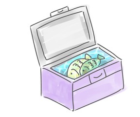 魚が入ったクーラーボックス