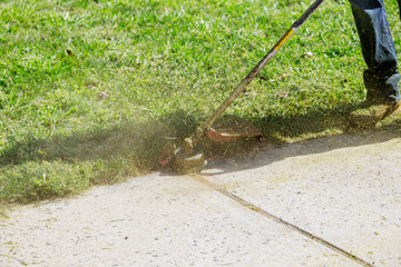 The gardener mows the grass with a lawn mower a natural grass