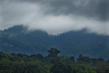 Raining cloud over the mountain and forest near border Thailand and Laos