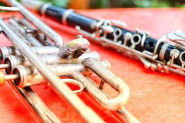 flute on black background