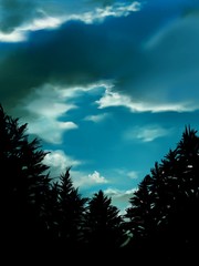 landscape of blue sky and clouds with northern forest