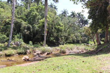 キューバのジャングルハイキング