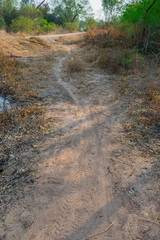 pequeño sendero en el monte al costado del lago