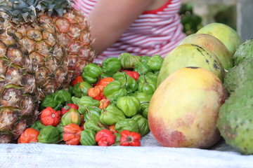 アイスランドのジャングルハイキングするツアーの休憩場所は、果物以外に野菜を販売している