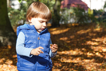 Little baby boy eating biscuit or cookies in autumn park