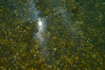 Oil film on the surface of sea water. Oil spill in the sea.