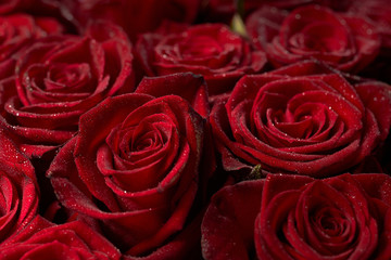 Red roses. Bouquet of flowers.