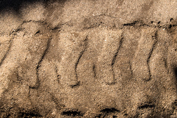 truck tire wheels, bobcat. on brown dirt road.