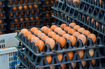 Black carton heap of fresh chicken eggs in the shop