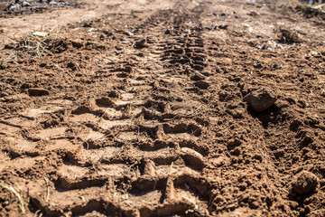 truck tire wheels, bobcat. on brown dirt road.