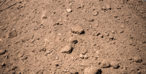 truck tire wheels, bobcat. on brown dirt road.