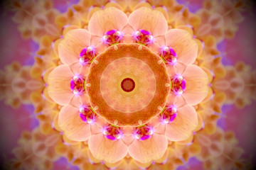 floral mandala in shades of yellow, orange, pink, and red