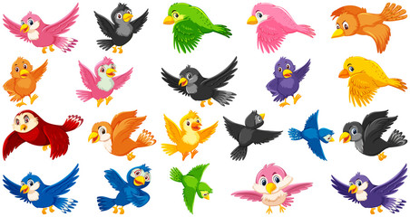 Set of bird cartoon character