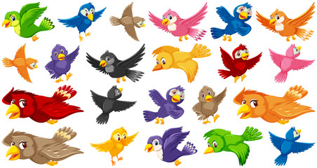 Set of bird cartoon character