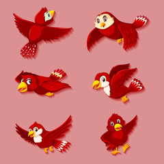 Cute red bird cartoon character