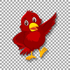 Cute red bird cartoon character
