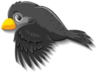 Black bird cartoon character