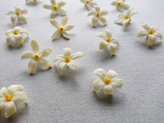 frangipani flowers on the beach