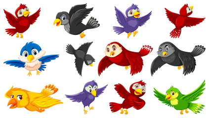 Set of bird cartoon character