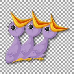 Hungry chick cartoon isolated