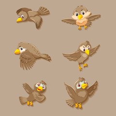 Cute sparrow bird cartoon character