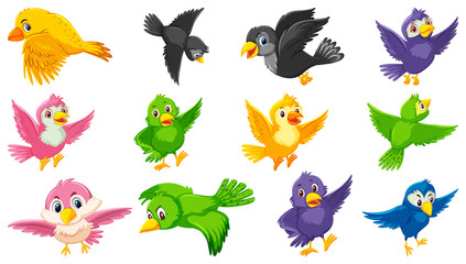Set of bird cartoon character