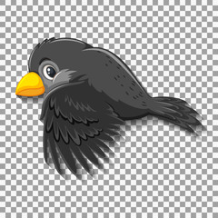 Black bird cartoon character