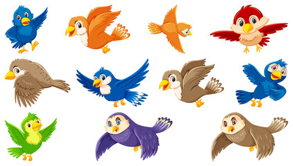 Set of bird cartoon character