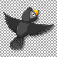 Black bird cartoon character